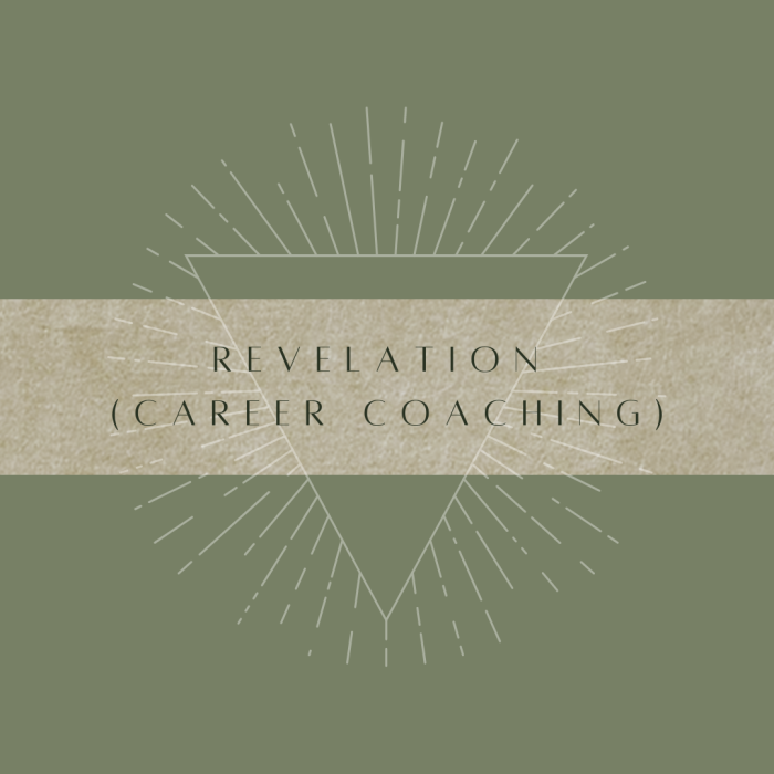 Revelation Scholarship: Comprehensive Career and Soul Coaching with Advanced Energy Healing - Includes Four 90-Min Sessions, Continuous Support, Personalized Therapy, and Tailored Guidance