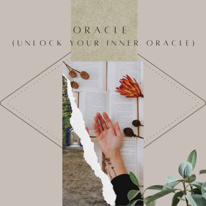 Oracle: 3-6 month mentorship: 7 x 90min custom sessions & program to awaken your oracle sight for the Master Alchemist (Limited time only special & scholarship)