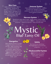 MYSTIC: Sacred Archetypes Botanical Mist + 30ml Concentrate